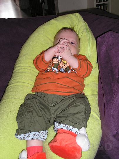 Imme 21 oktober 2006 (1).JPG